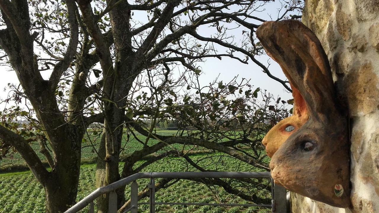 La grange aux lièvres, gîtes Kerdoel Cléder Esterno foto