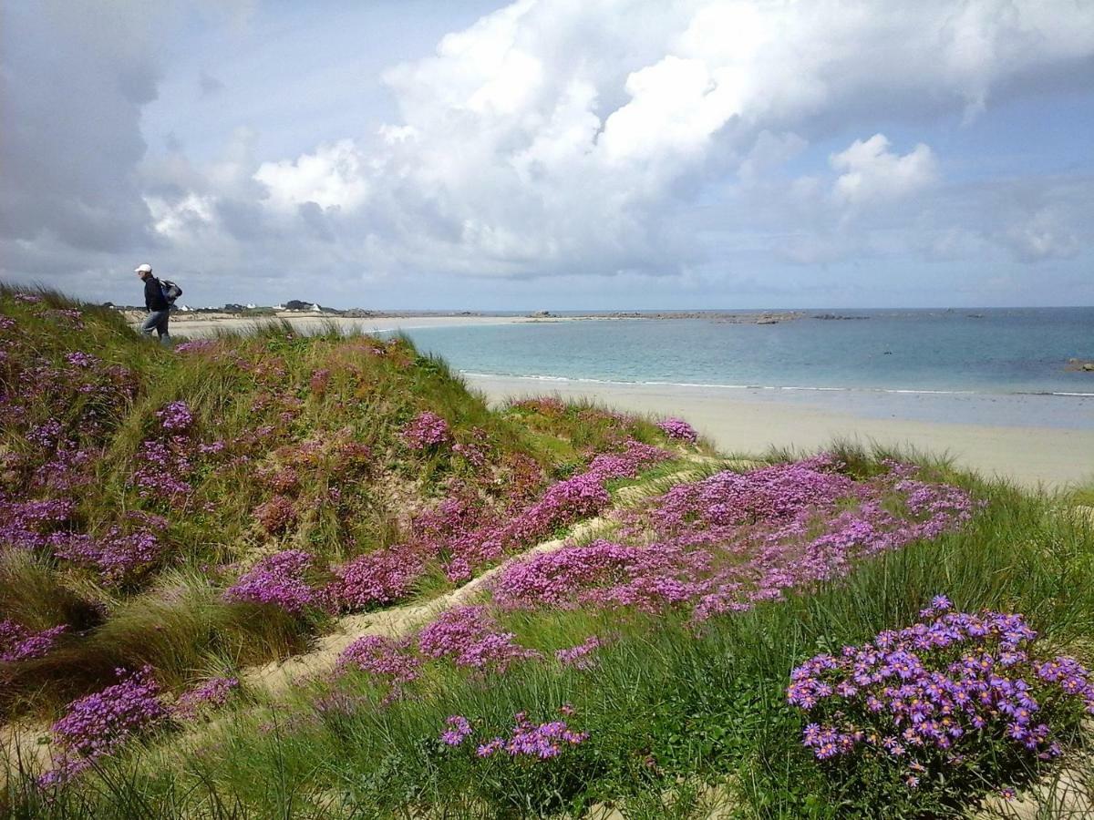 La grange aux lièvres, gîtes Kerdoel Cléder Esterno foto
